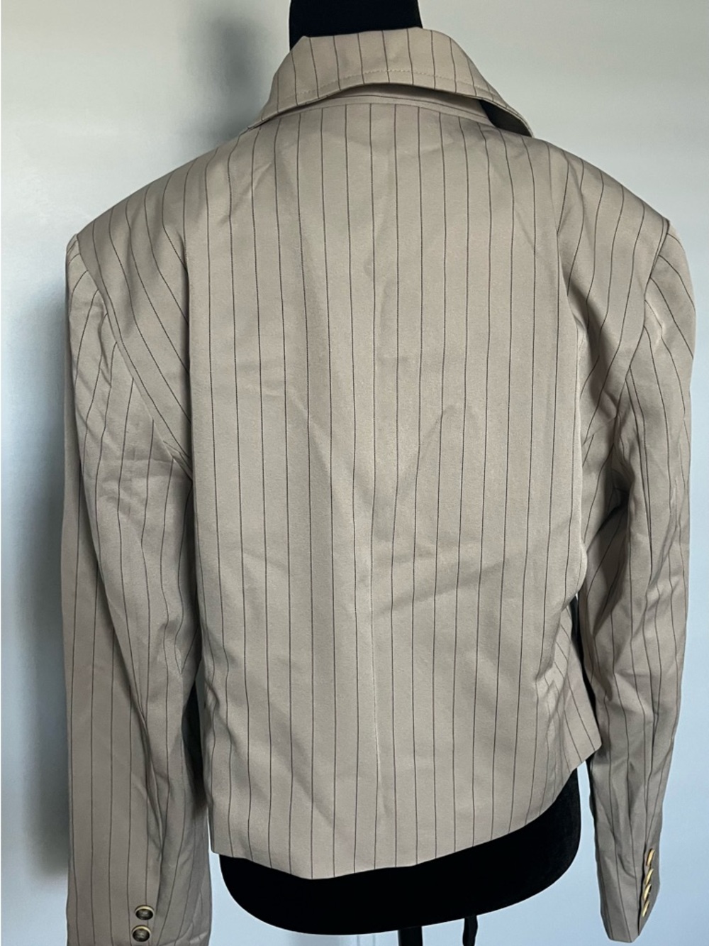 NWT Aaron & Amber Striped Beige Double-Breasted Women's Blazer - Picture 6 of 7